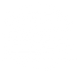 AMERICAN FLAG graphic
