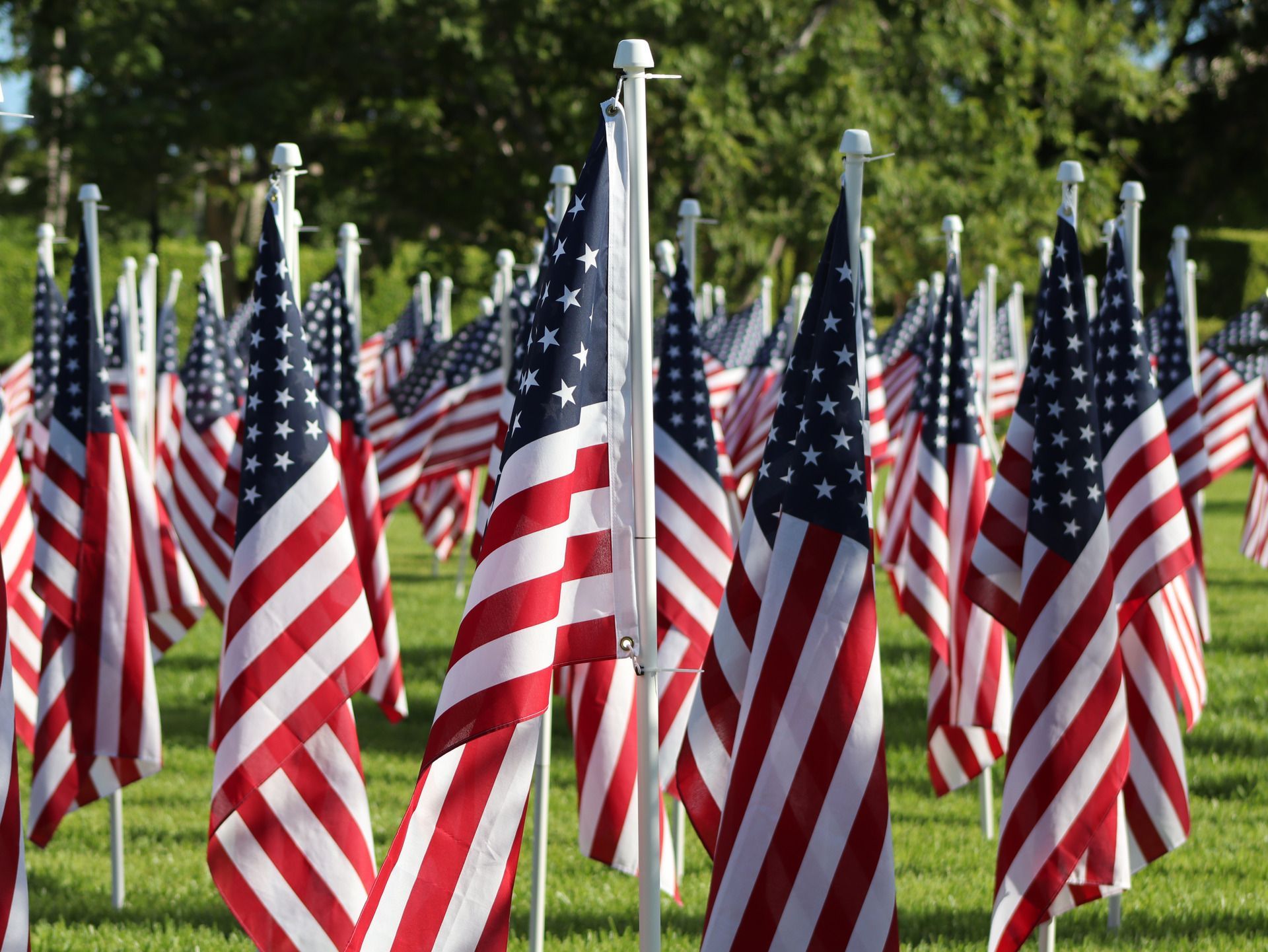 Many American flags displayed on poles in a grassy field.