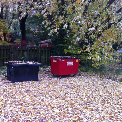 A black dumpster and a red dumpster sit in a yard covered in fallen autumn leaves, in front of a wooden fence and trees.