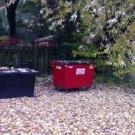 A red dumpster and a black dumpster sit on a ground covered with fallen leaves near a wooden fence and trees.