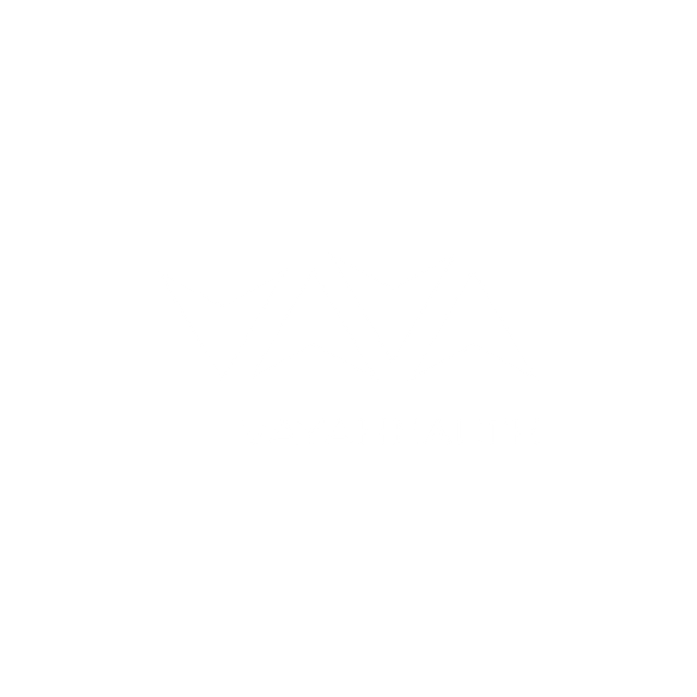 Vaya Healthcare logo