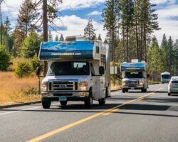 White RVs driving on a road lined with trees under a blue sky.