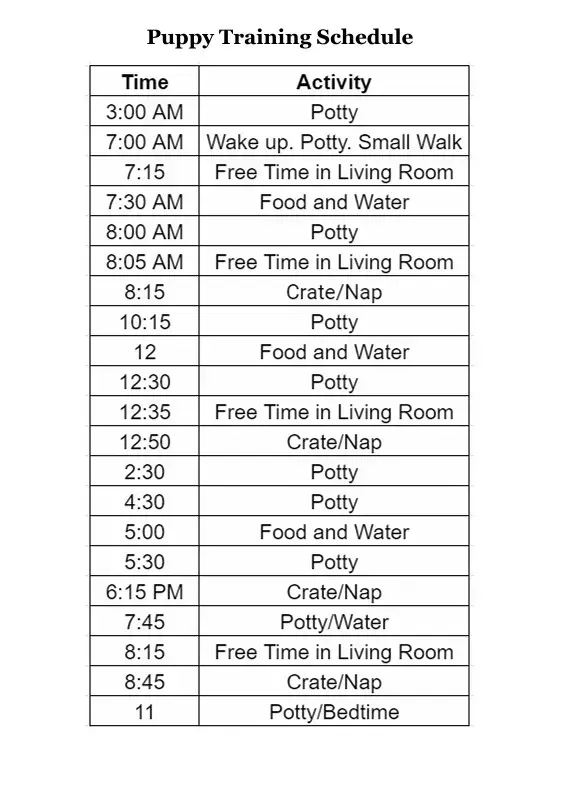 Cavapoo puppies for sale, Cavapoochon Puppies for Sale, Cavapoochon Puppy, Cavoodle Puppy, Pleasant Home Puppies