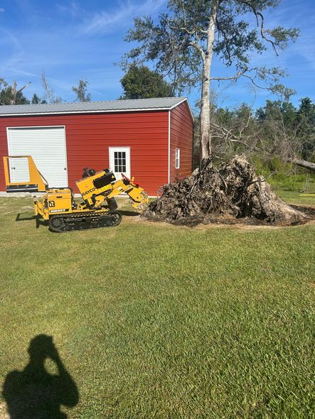 Yellow tree-cutting machine next to a red shed with tree debris on green grass under a blue sky.