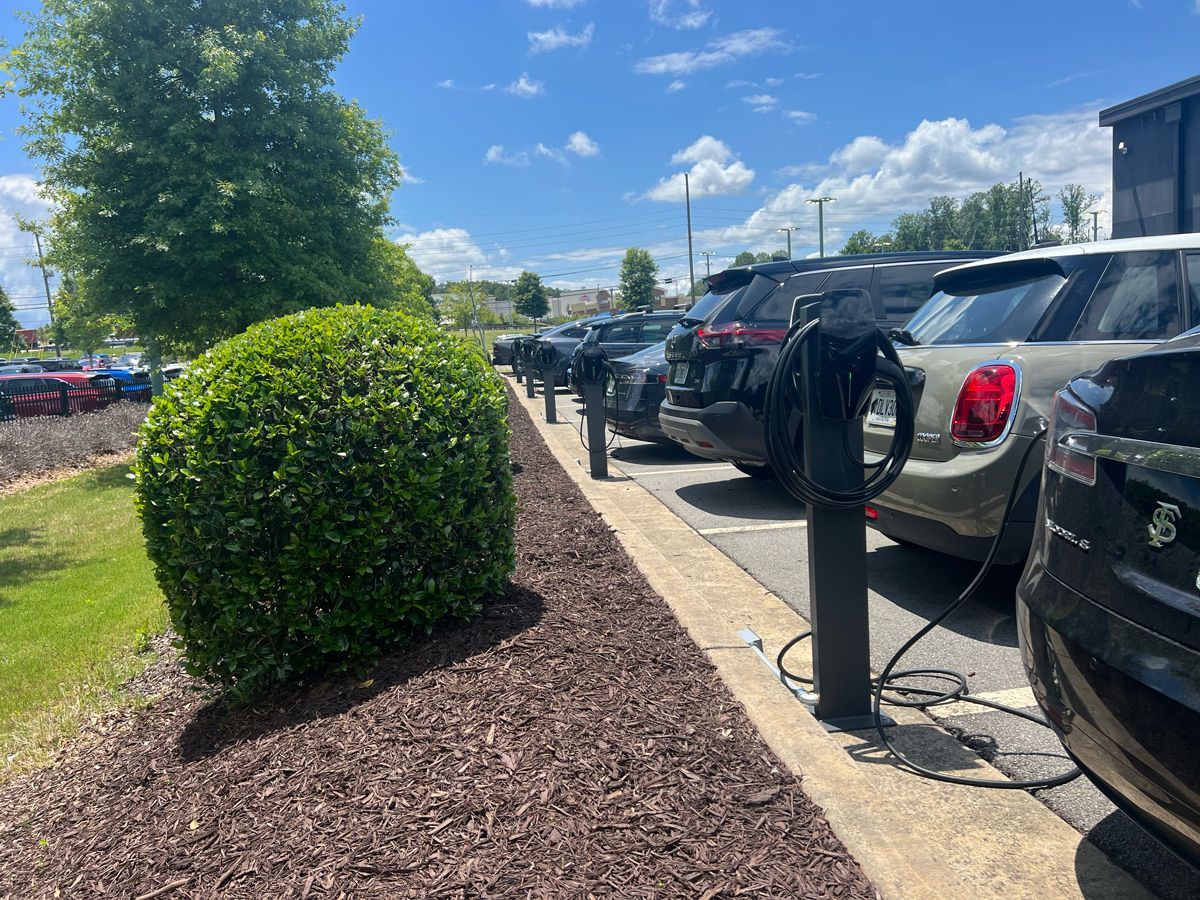 A row of cars are being charged at a charging station.