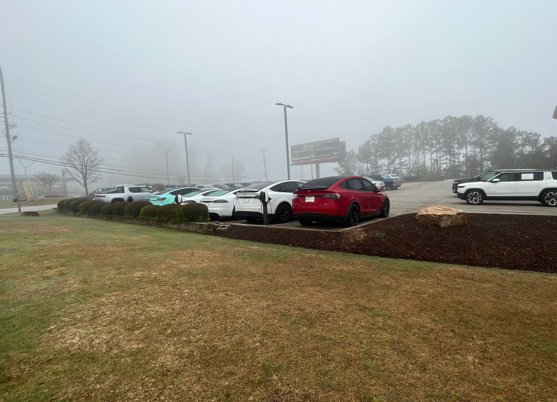 A row of cars are parked in a parking lot on a foggy day.