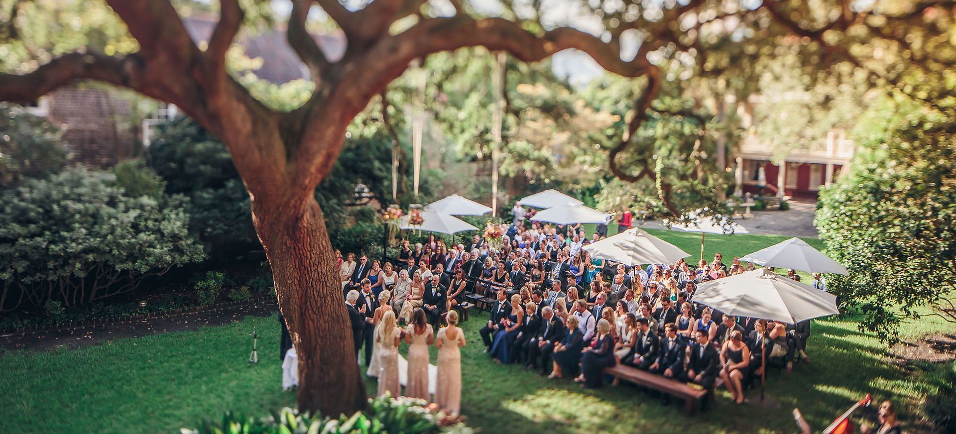 A large group of people are sitting under a tree at a wedding ceremony.