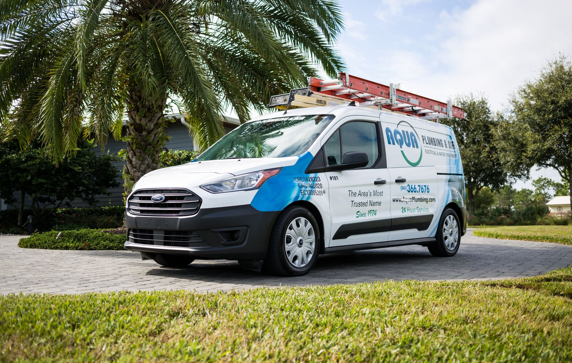 White van with blue graphics parked on a driveway with a palm tree.