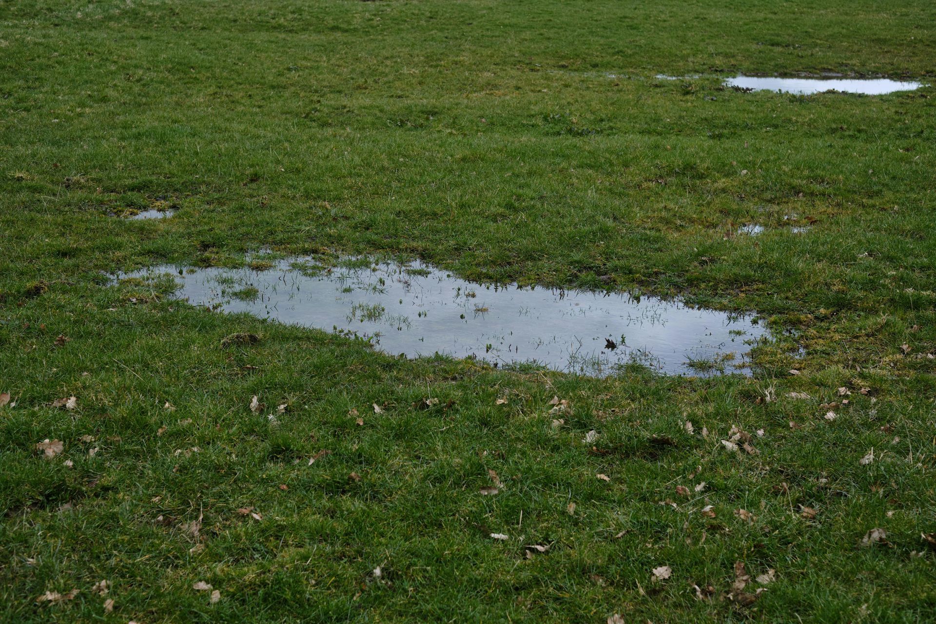 A grassy field with several shallow puddles reflecting the cloudy sky.