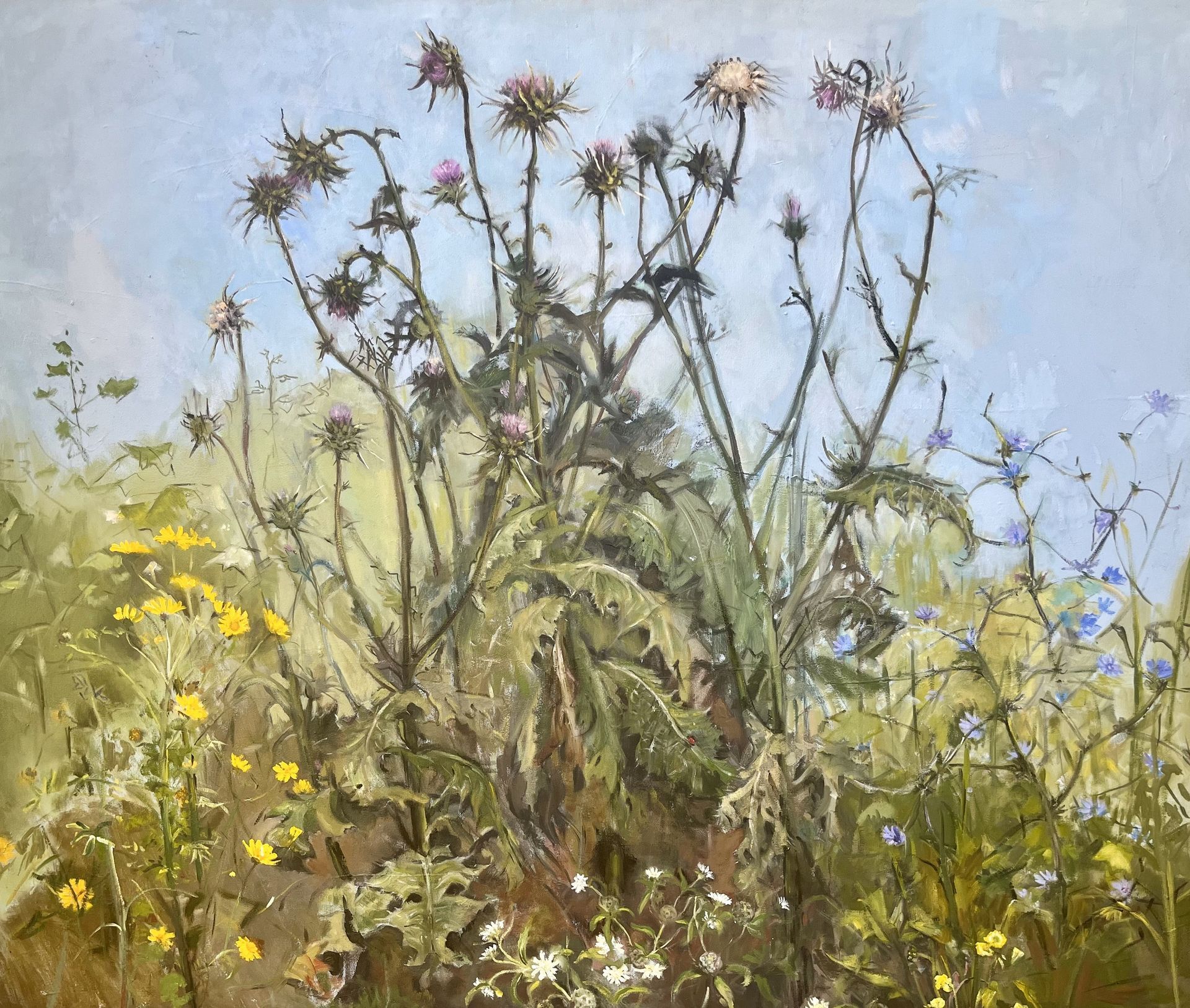 ציור טבע עכשווי, עשבי בר, פרחים, קוצים סגולים ורודים, ציור מקורי, צבעי שמן, סגנון אמפרסיוניסטי, טבע ישראלי.
Contemporary nature painting, wild herbs, flowers, purple and pink thorns, original painting, oil paints, impressionistic style, Israeli nature