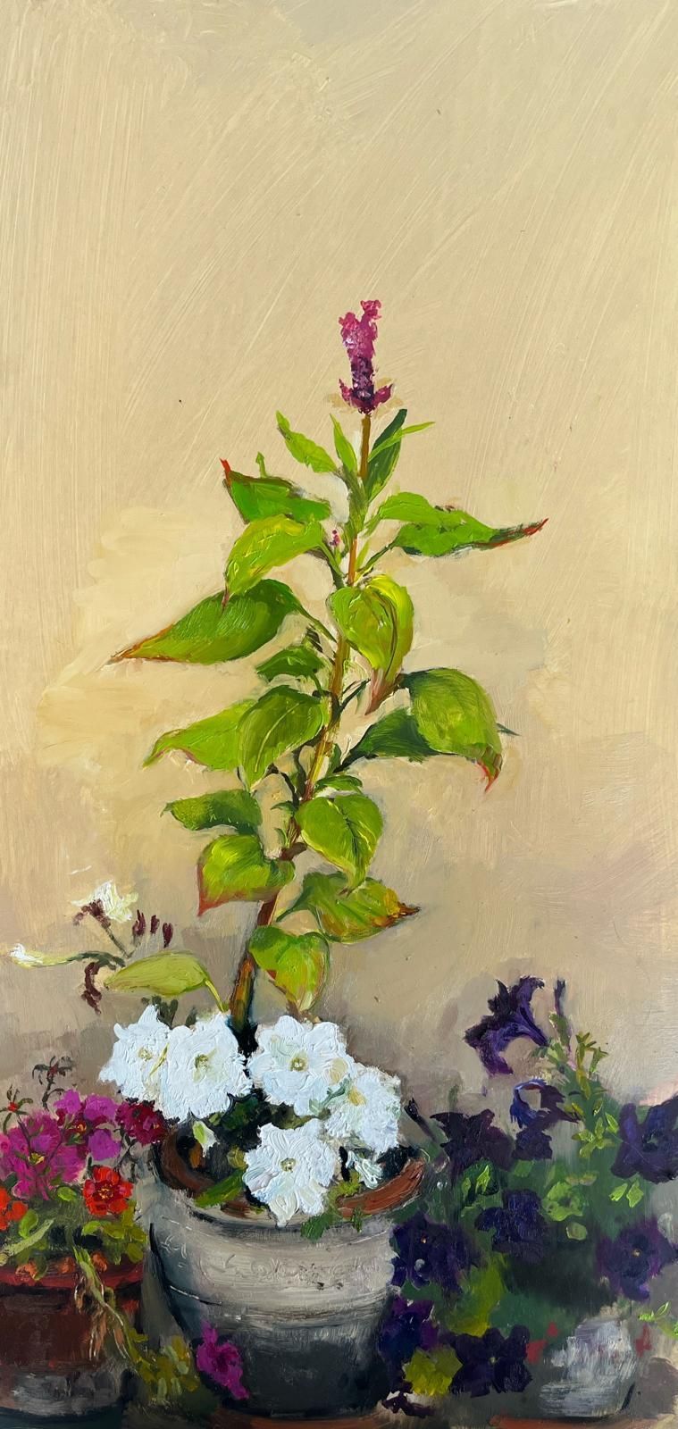 Still life, original oil painting, Israeli landscape painting, warm colors, nature painting, contemporary nature painting, new impressionistic style, flower painting, petunias, wild plant.
טבע דומם, ציור שמן מקורי, ציור נוף ישראלי, צבעים חמים, ציור טבע, ציור טבע עכשווי, סגנון אימפרסיוניטי חדש, ציור פרחים, פטוניות, צמח בר. 