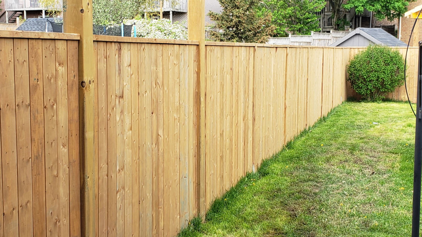 Wooden fence bordering a grassy yard with a small green bush, under a bright sky.