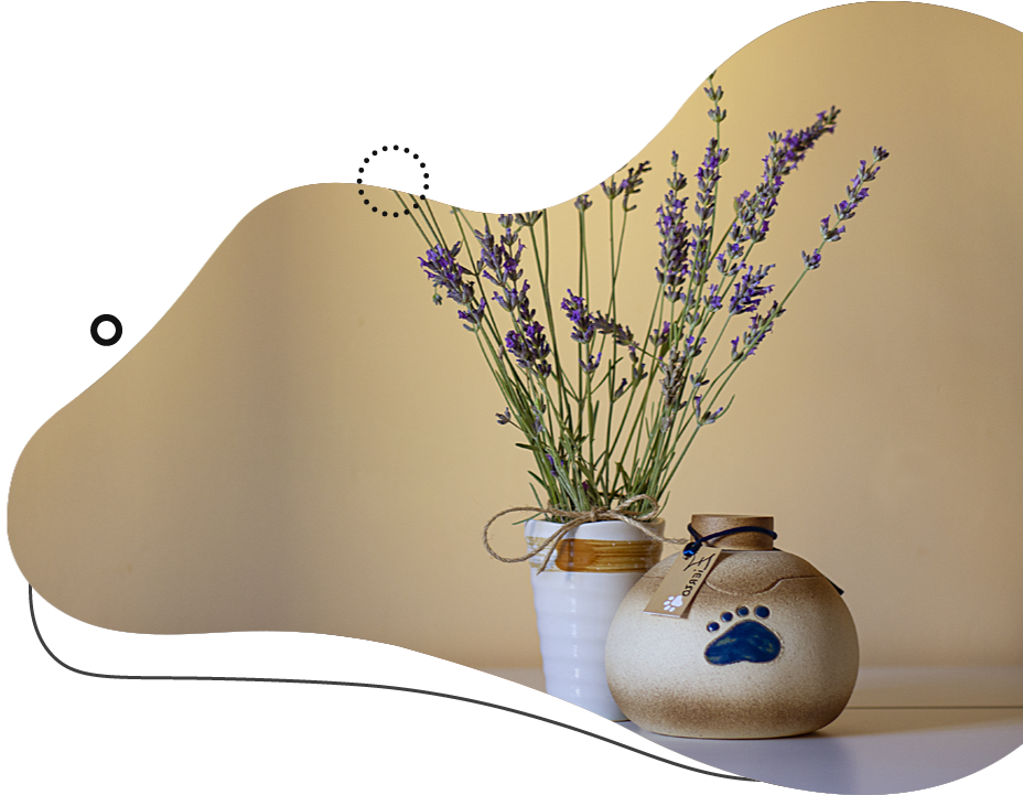 Lavender flowers in white pot, next to a paw print pottery urn, against a soft beige background.
