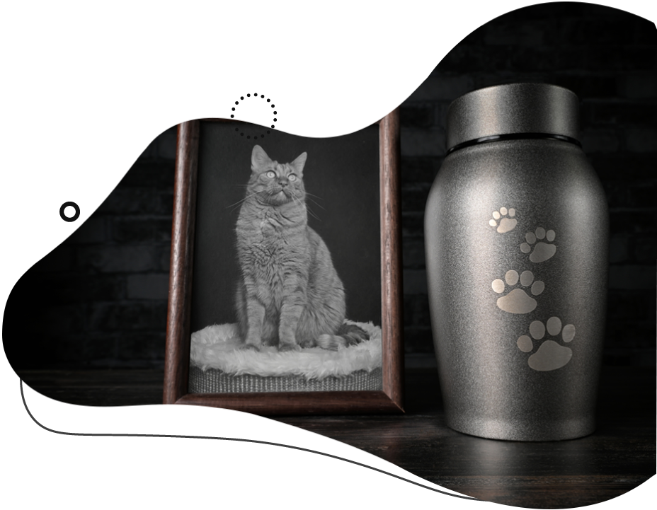 A framed photo of a cat beside a pet cremation urn, decorated with paw prints.