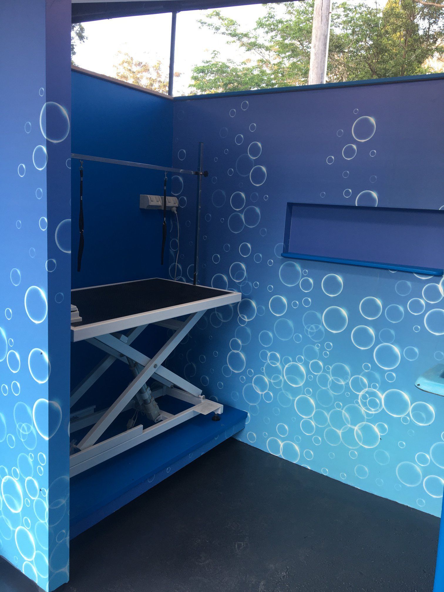 Interior of a blue dog grooming station with a table, featuring bubble-themed wall design.