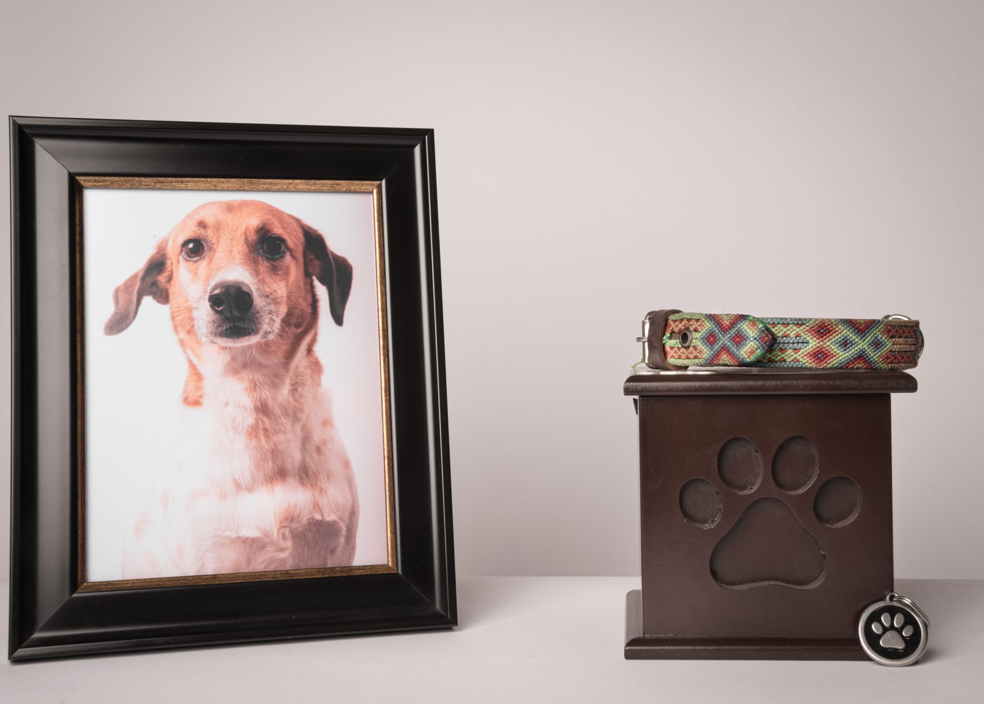 Dog's portrait next to pet cremation urn with collar and paw print pendant.