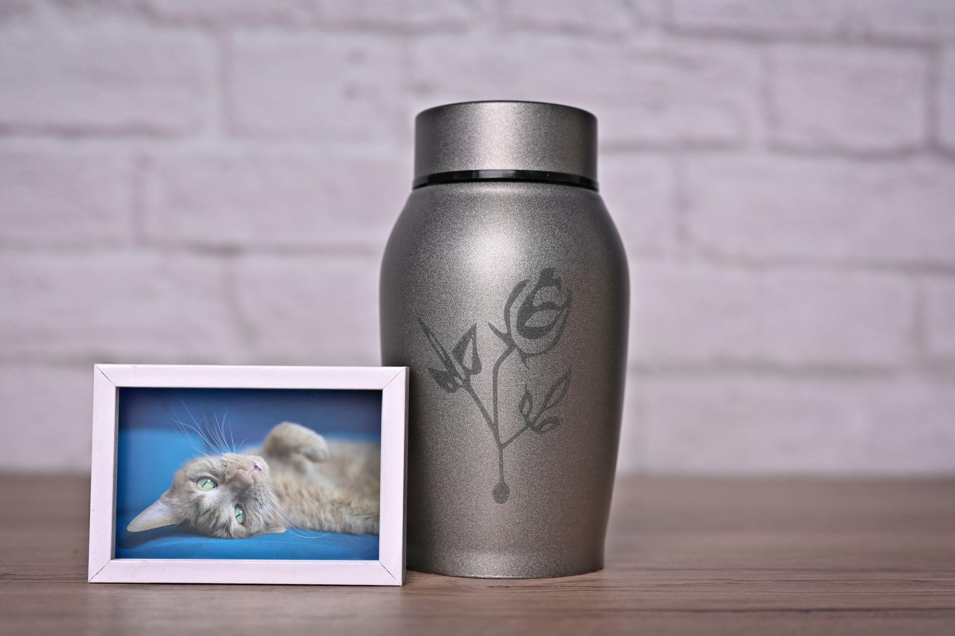 A silver pet urn with a rose design next to a framed photo of a fluffy cat.