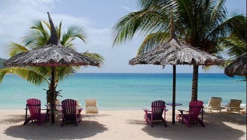 A beach with chairs , umbrellas and palm trees.