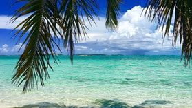 A palm tree is hanging over a tropical beach.