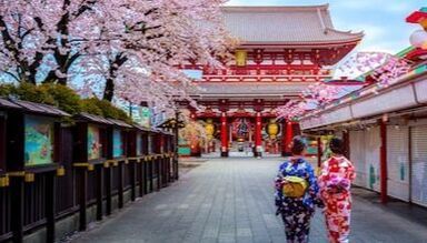 Two women in kimonos are walking down a street in front of a building with cherry blossoms.