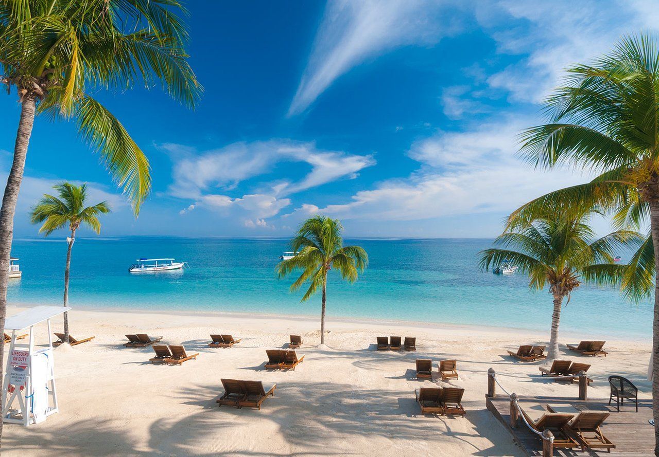 A tropical beach with palm trees and chairs on a sunny day