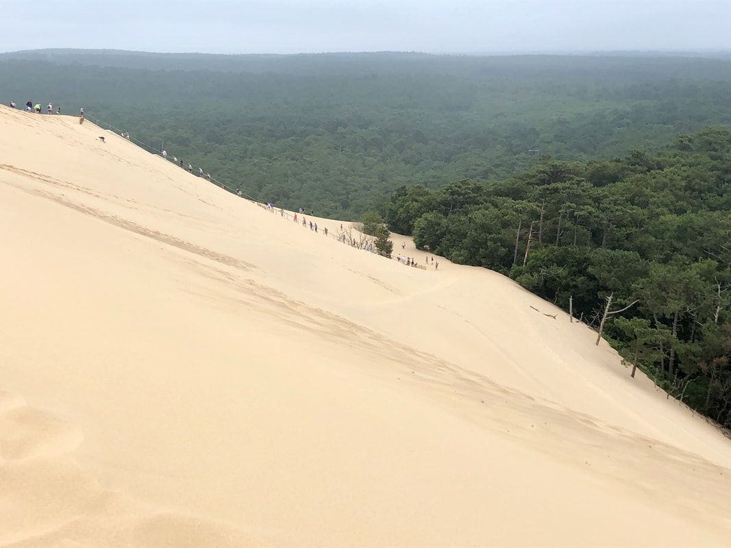 A large sand dune surrounded by trees and a forest.