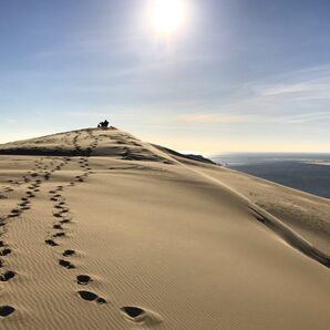 A person is standing on top of a sand dune.