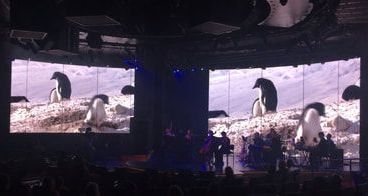 A group of penguins are standing in front of a large screen on a stage.