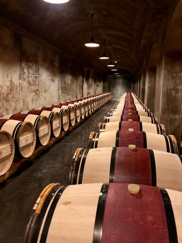 A row of wooden wine barrels are lined up in a wine cellar.