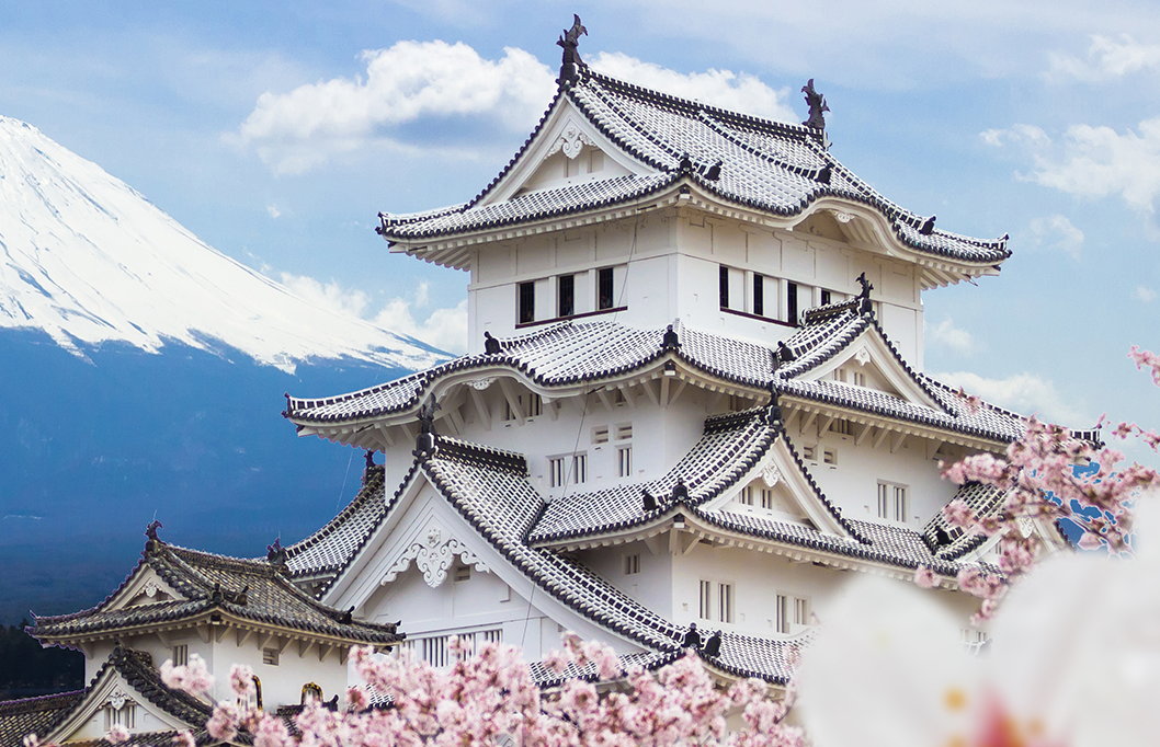 A castle with a mountain in the background and cherry blossoms in the foreground.