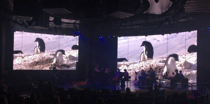 A group of penguins are on a large screen in a dark room.