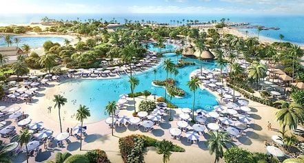 An aerial view of a large swimming pool surrounded by palm trees.