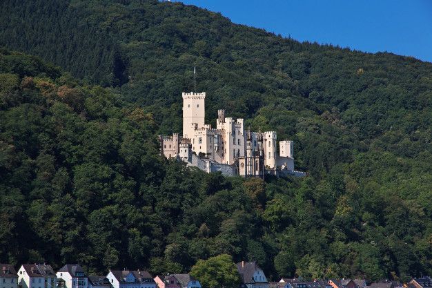 A castle is sitting on top of a hill surrounded by trees.