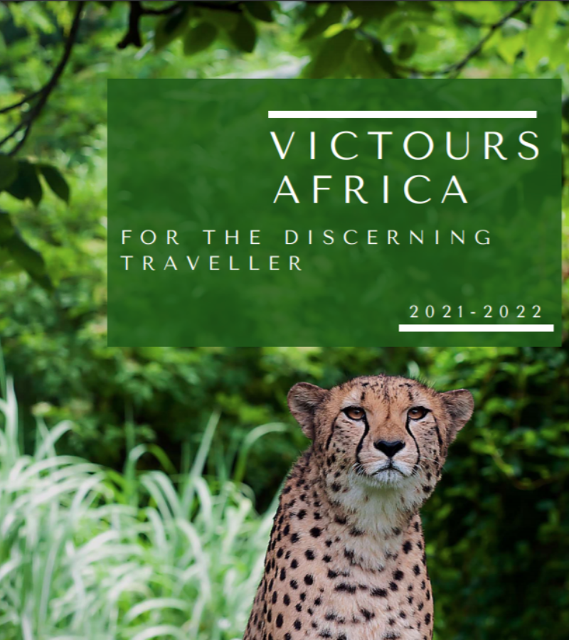 A cheetah is on the cover of victours africa for the discerning traveller