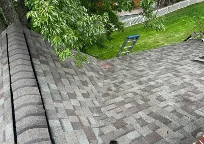 A roof with brown and gray shingles. A green ladder is in the background. Overhanging trees cast shadows.