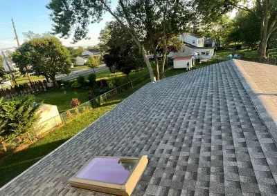 A gray shingle roof with a skylight, overlooking a suburban backyard with trees and houses on a sunny day.