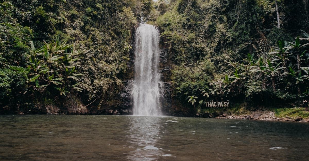 A waterfall is surrounded by trees and a body of water.