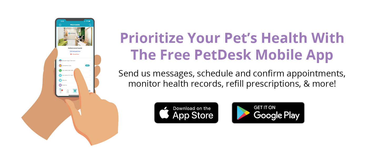 A person using the PetDesk app on their phone. Text says: 