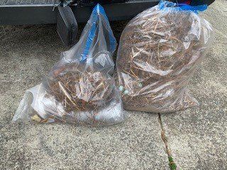 large bags filled with dryer dust and debris