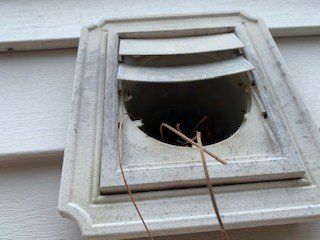 exterior of house dryer vent covered in dust