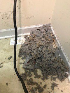 dryer vent dust in a pile on the floor