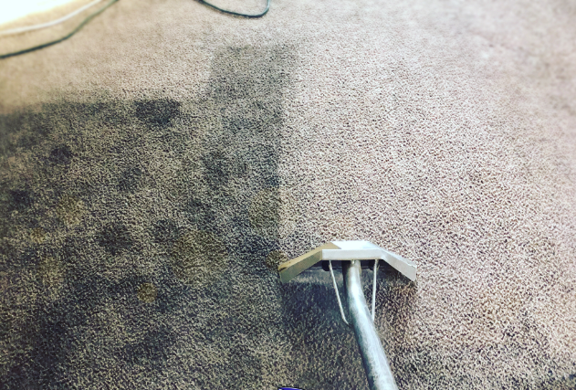 Carpet being cleaned; a dirty portion contrasts with a clean strip created by the cleaning apparatus.
