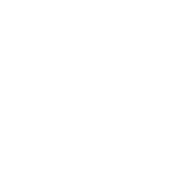 A solid white background.