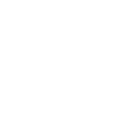 A blank white space.