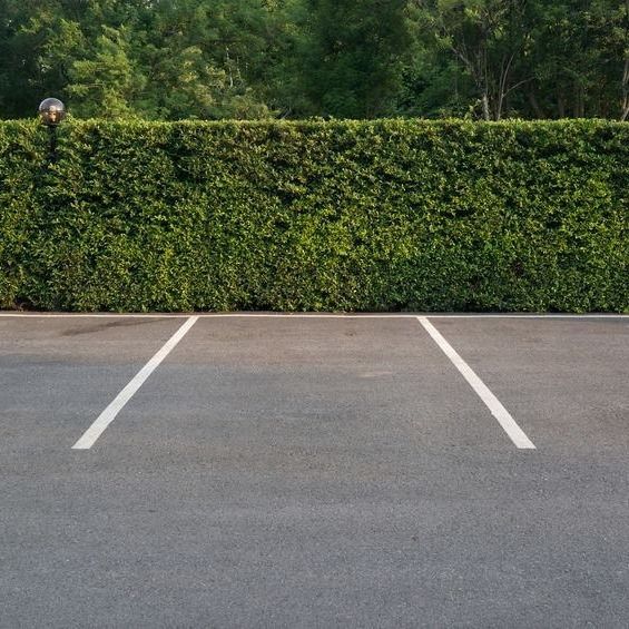 An empty parking lot with a hedge in the background