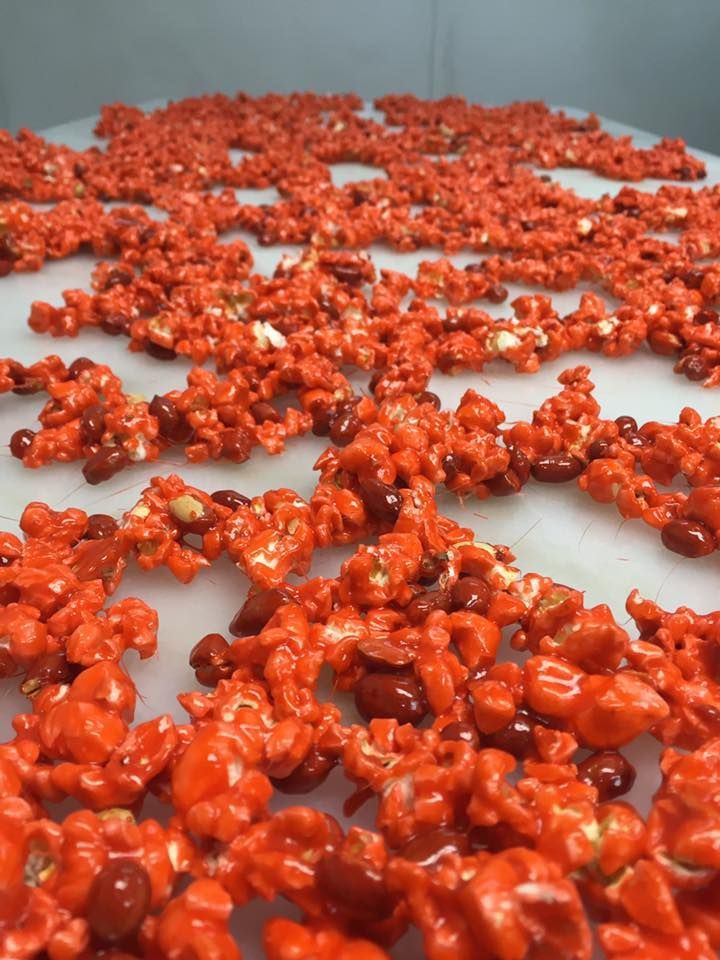 Brittle in Fort Collins, CO