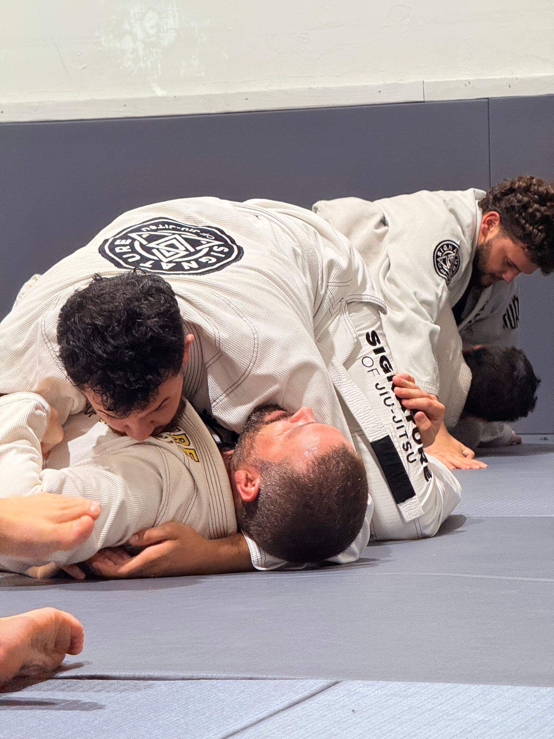 Adults practicing Brazilian Jiu-Jitsu sparring at Signature of Jiu-Jitsu in Belmont, CA to build grit.
