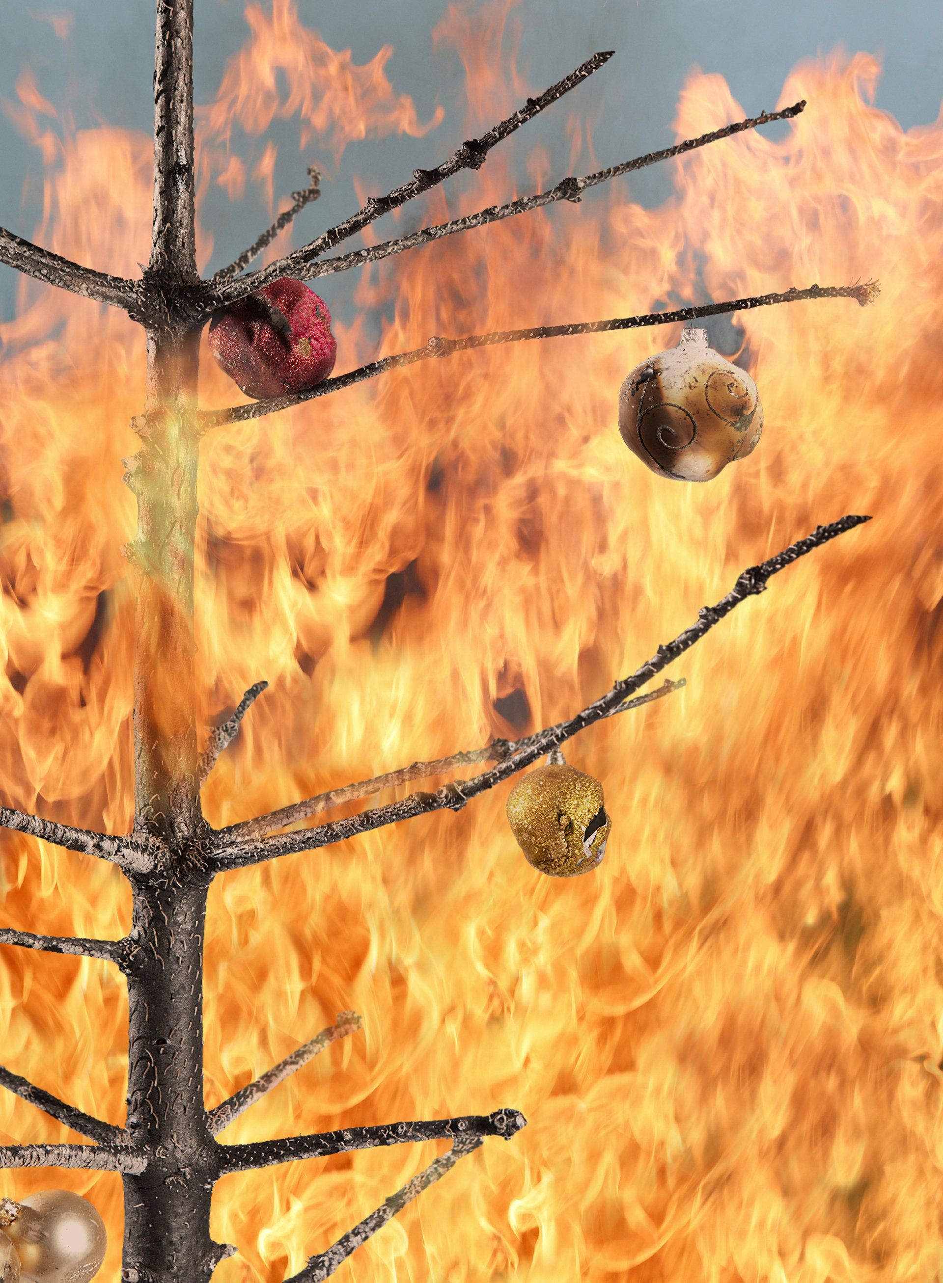 christmas-tree-fires-and-prevention-tips