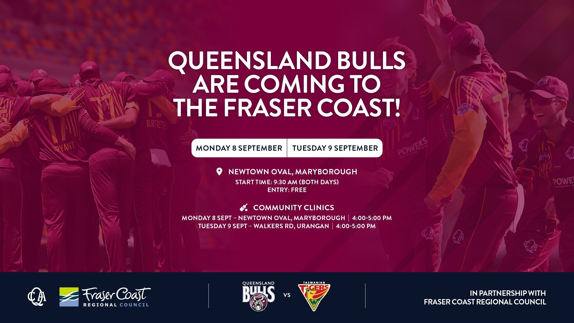 Queensland bulls are coming to the fraser coast — Maryborough Cricket Club In Maryborough, QLD