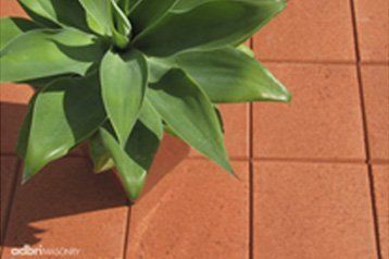 brown tiles with plant